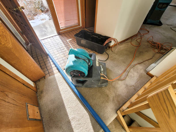 Best Local water damage restoration  in Badieville, LA