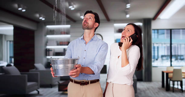 Best Sewage cleanup and water damage restoration  in Badieville, LA